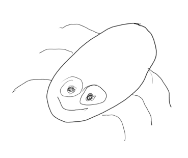 The pet